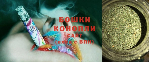 гидра Ладушкин