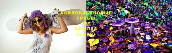 прущая мука Кукмор