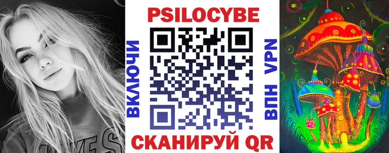 Купить где  Касли  Псилоцибиновые грибы MAGIC MUSHROOMS 